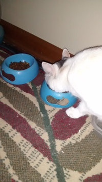 Photo of Nutrish Indoor Complete Chicken With Lentils & Salmon Recipe uploaded by Jamie H.