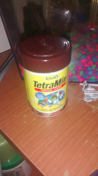 Photo of Tetra TetraMin Large Tropical Flakes uploaded by Allison M.