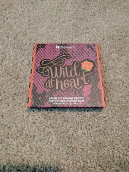 Photo of BH Cosmetics Baked Eyeshadow Palette uploaded by Courtney R.