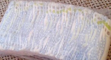 Photo of Babies