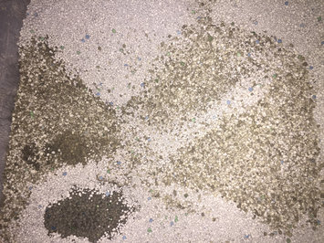 Photo of Tidy Cats Scoop 24/7 Performance Cat Litter uploaded by member-7871096cb