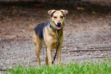 Photo of Canon EOS Rebel T2i uploaded by Josh B.