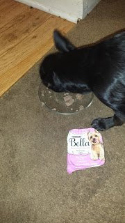 Photo of Purina Bella Filet Mignon Flavor in Savory Juices Adult Wet Dog Food 3.5 oz. Tray uploaded by Shawna M.