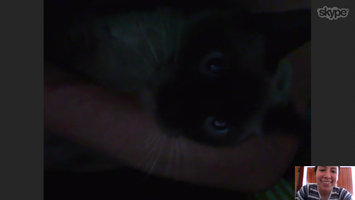 Photo of Skype uploaded by Alejandra M.