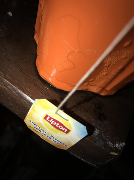 Photo of Lipton® Iced Tea Bags uploaded by Sian S.