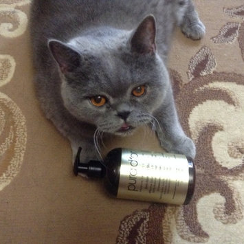 Photo of iHerb uploaded by Alexandra P.