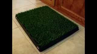 Photo of Pet Zoom Pet Park uploaded by Jéssica S.