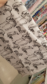 Photo of Jo-Ann Fabric & Craft uploaded by Sara T.