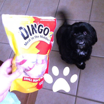 Photo of Dingo Meat in the Middle uploaded by Courtney E.