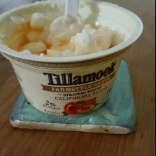Photo of Tillamook® Farmstyle Greek Honey Peach Strained Lowfat Yogurt 5.3 oz. Cup uploaded by Toryanni E.
