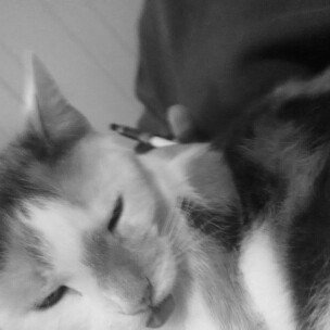 Photo of Fancy Feast Grilled Gourmet Cat Food uploaded by Melanie P.
