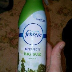 Photo of Air Effects Febreze Air Effects Big Sur Woods Air Freshener (2 Count, 19.4 oz) uploaded by Candace L.