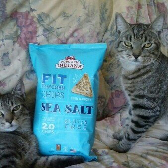 Photo of Popcorn Indiana Chip'ins Sea Salt Popcorn Chips uploaded by Susanne B.