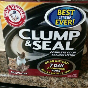 Photo of ARM & HAMMER™ Clump & Seal Complete Odor Sealing Clumping Litter Multi-Cat uploaded by Christina C.