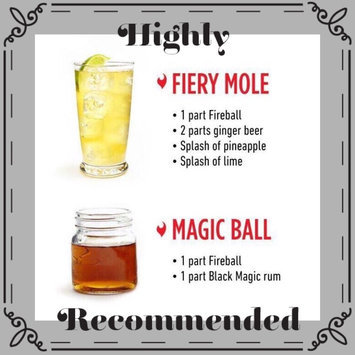 Photo of Fireball Cinnamon Whisky uploaded by Nassim N.