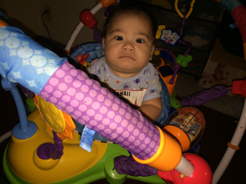 Photo of Baby Einstein Jumper - Neighborhood Friends uploaded by kristine m.
