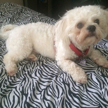Photo of ASPCA uploaded by Allison L.