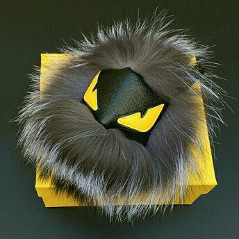 Photo of FENDI uploaded by Sandra Milena Z.