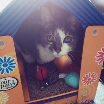 Photo of Four Paws Pet Products Fou Cat Scratcher House uploaded by Michelle H.
