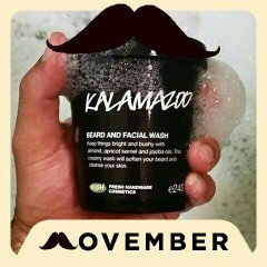 Photo of LUSH Kalamazoo Beard and Facial Wash uploaded by Jessica F.