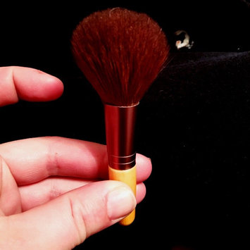 Photo of Eco Tools Mini Essentials Brush Set uploaded by dawn m.