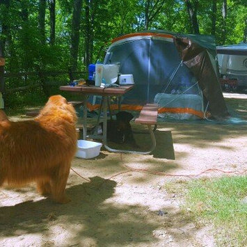 Photo of Coleman WeatherMaster 6 Screened Tent uploaded by Julie M.