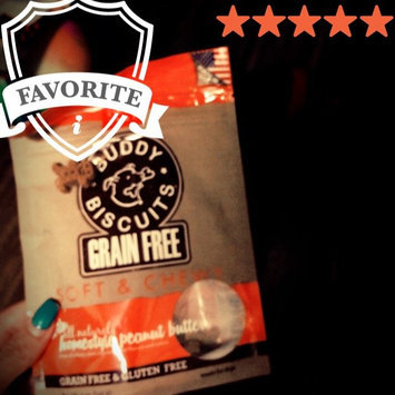 Photo of Cloud Star Grain Free Soft & Chewy Buddy Biscuits Dog Treats uploaded by Juliana T.