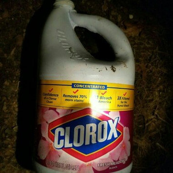 Photo of Clorox® Fresh Meadow® Scented Bleach uploaded by Brooklyn D.