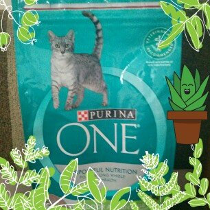 Photo of PURINA ONE® Indoor Advantage Hairball & Healthy Weight Cat Food uploaded by Yvonne L.