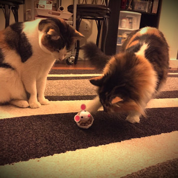 Photo of TEMPTATIONS™ Snacky Mouse Cat Toy uploaded by Melissa D.