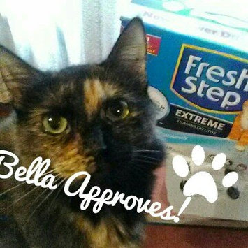 Photo of Fresh Step Lightweight Extreme Cat Litter, Scented (29.4 lb.) uploaded by Jessica B.