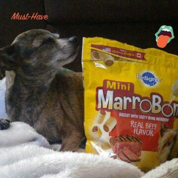 Photo of Pedigree® MarroBone® Real Beef Flavor Dog Treats uploaded by Allyssa V.