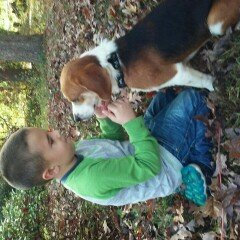 Photo of ASPCA uploaded by Angela B.