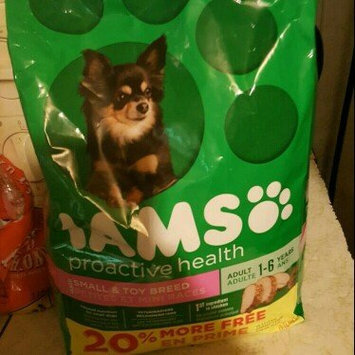 Photo of Iams™ Proactive Health™ Adult Small & Toy Breed Dog Food uploaded by Faith M.