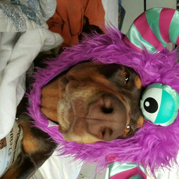 Photo of ASPCA uploaded by Angela S.