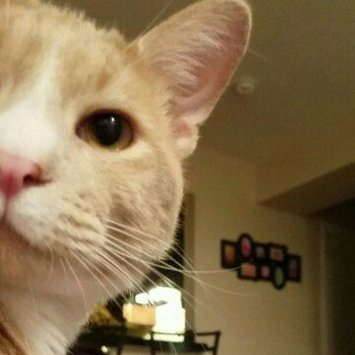 Photo of TEMPTATIONS™ Classic Treats For Cats Hearty Beef Cat Treats uploaded by Vannessa G.