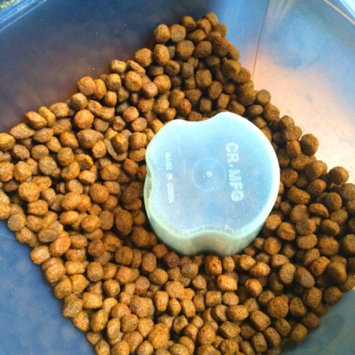 Photo of Simply NourishA Healthy Weight Natural Adult Dog Food uploaded by Alexis C.