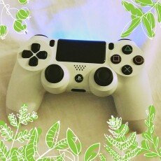 Photo of Sony DualShock 4 Wireless Controller - Glacier White (PlayStation 4) uploaded by Tiffany T.