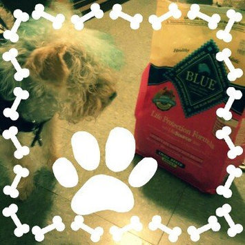 Photo of THE BLUE BUFFALO CO. BLUE™ Life Protection Formula® Chicken and Brown Rice Recipe For Adult Dogs uploaded by Martha C.