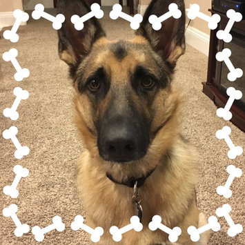 Photo of THE BLUE BUFFALO CO. BLUE™ Wilderness® Chicken For Large Breed Puppies uploaded by Brittany B.