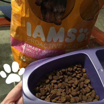 Photo of Iams™ Proactive Health™ Smart Puppy Small & Toy Breed Food uploaded by Virginia J.