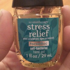Photo of Bath & Body Works PocketBac Stress Relief Eucalyptus Spearmint Anti-Bacterial Hand Gel uploaded by Brittany T.