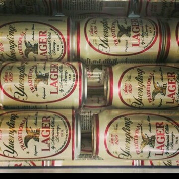 Photo of Yuengling Traditional Lager uploaded by Holly L.