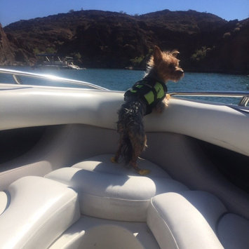 Photo of Paws Aboard Neon Yellow Doggy Life Jacket uploaded by Bre M.