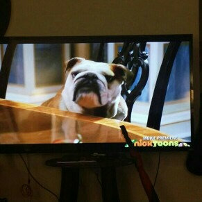 Photo of Vizio VIZIO E-series E550i-B2 uploaded by Cal W.