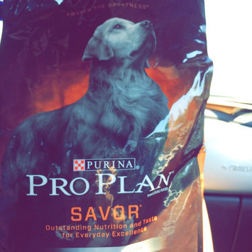 Photo of PRO PLAN® SAVOR® ADULT Shredded Blend Chicken & Rice Formula uploaded by Jamie B.