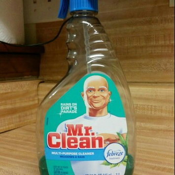 Photo of Mr. Clean with Febreze New Zealand Springs Multi-Surface Cleaning uploaded by terra h.