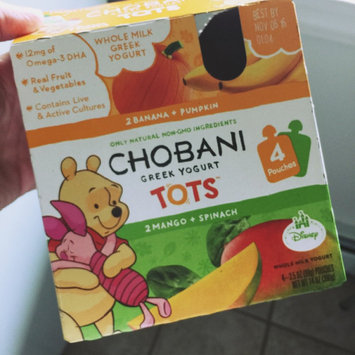 Photo of ChobaniTOTS® Apple Whole Milk Yogurt Pouches uploaded by Renee J.