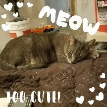 Photo of ASPCA uploaded by Amanda L.