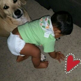 Photo of up & up diapers uploaded by Pallavi R.
